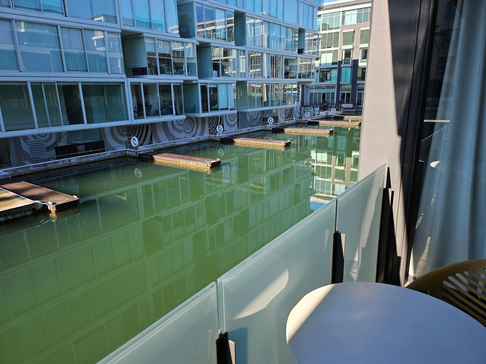 Pavilions Marina Apartment 102 - Wynyard Quarter Viaduct Harbour Auckland Buitenkant foto